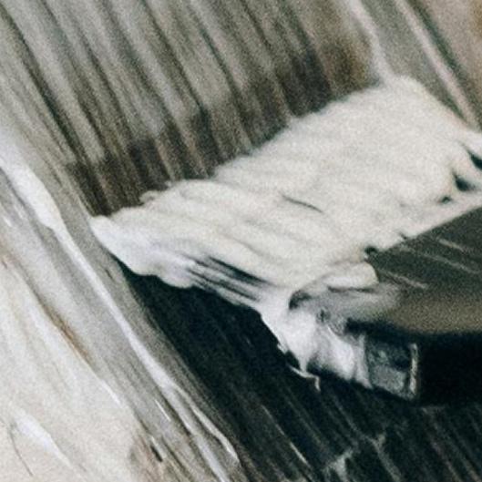 Lash and Brows Glow Up